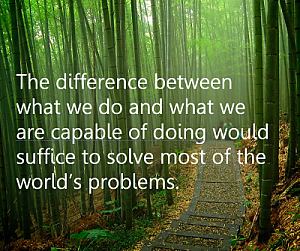 Inspirational quote in bamboo path